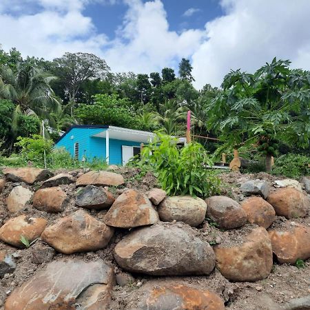Bung A Ziotte Villa Deshaies Bagian luar foto